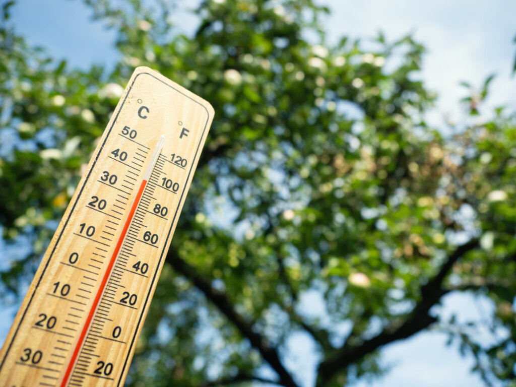 Image of a wooden thermometer showing 100 degrees fahrenheit.