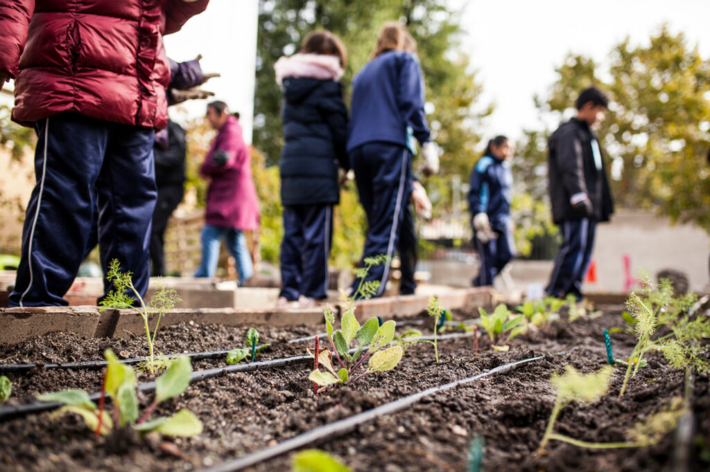 Group of schoolchildren working in a school garden